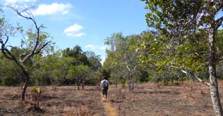 /images/cambodia/ne/sen-monorom/mondulkiri_sm.jpg