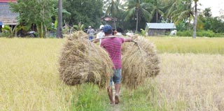 /images/cambodia/south/kampot/kampot_sm.jpg