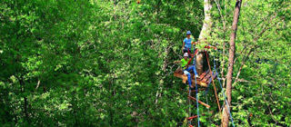 /images/cambodia/south/koh-rong/high-point_sm.jpg