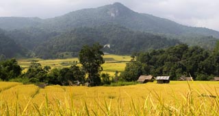 Thailand's highest mountain, cloud forests, waterfalls, Hill Tribes & picturesque Chedis
