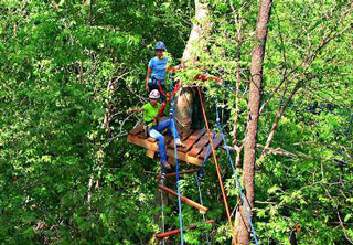 Rope and zipline obstacle course through the trees